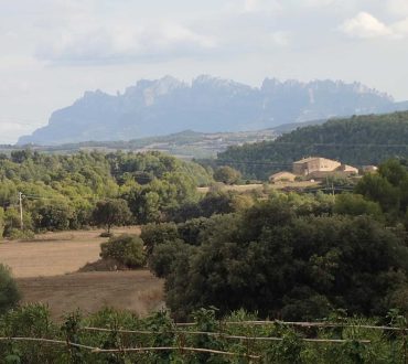 Fotografia 5